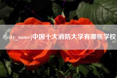 武穴中国十大消防大学有哪些学校