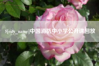 武穴中国消防中小学公开课回放