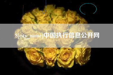 武穴中国执行信息公开网