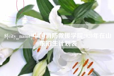武穴中国消防救援学院2020年在山东招生计划表