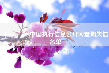 武穴中国执行信息公开网查询失信名单