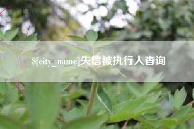武穴失信被执行人杳询