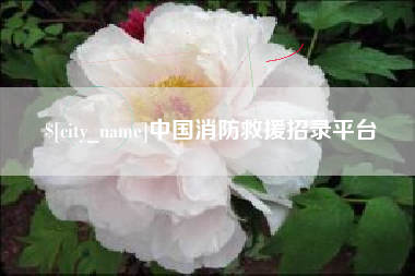 武穴中国消防救援招录平台