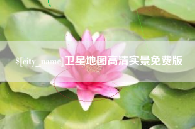 武穴卫星地图高清实景免费版