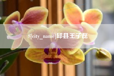 武穴邱县王子磊