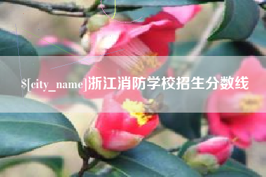 武穴浙江消防学校招生分数线