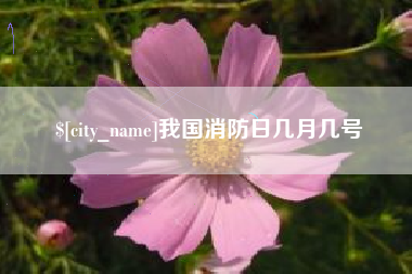 武穴我国消防日几月几号