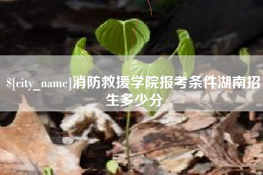 武穴消防救援学院报考条件湖南招生多少分