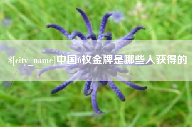 武穴中国6枚金牌是哪些人获得的