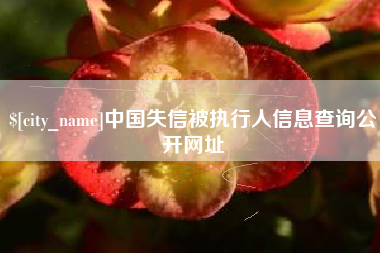 武穴中国失信被执行人信息查询公开网址
