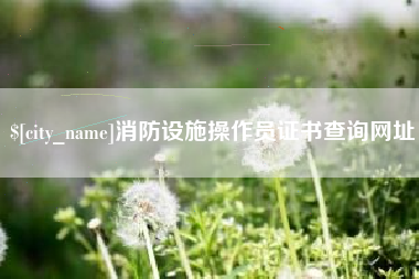 武穴消防设施操作员证书查询网址