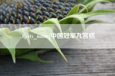 武穴中国冠军九宫格