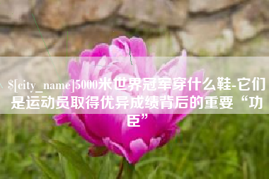 武穴5000米世界冠军穿什么鞋-它们是运动员取得优异成绩背后的重要“功臣”