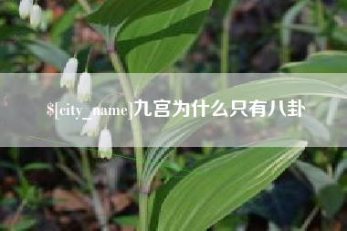 武穴九宫为什么只有八卦