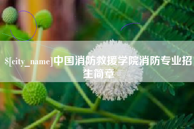 武穴中国消防救援学院消防专业招生简章