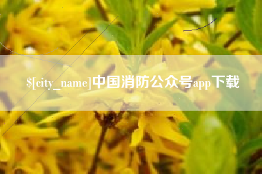 武穴中国消防公众号app下载