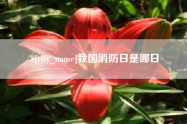 武穴我国消防日是哪日