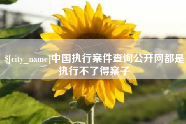 武穴中国执行案件查询公开网都是执行不了得案子