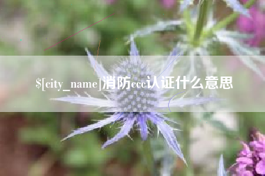武穴消防ccc认证什么意思