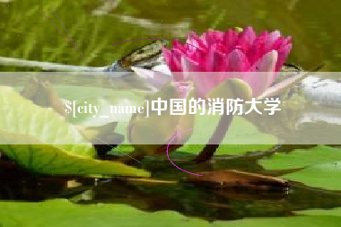 武穴中国的消防大学