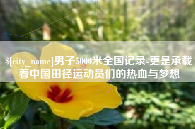 武穴男子5000米全国记录-更是承载着中国田径运动员们的热血与梦想