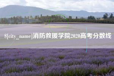 武穴消防救援学院2020高考分数线