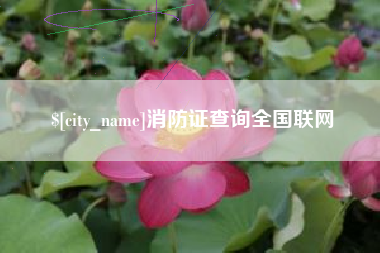 武穴消防证查询全国联网