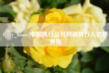 武穴中国执行公开网被执行人名单查询