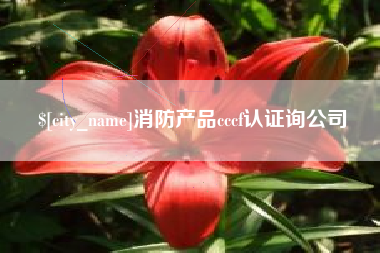 武穴消防产品cccf认证询公司