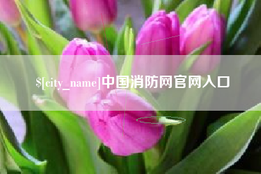 武穴中国消防网官网入口