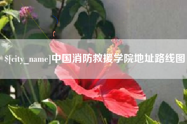 武穴中国消防救援学院地址路线图