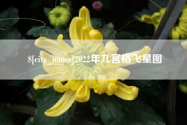 武穴2022年九宫格飞星图