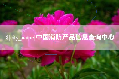 武穴中国消防产品信息查询中心