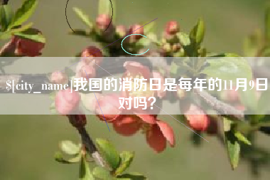 武穴我国的消防日是每年的11月9日对吗？