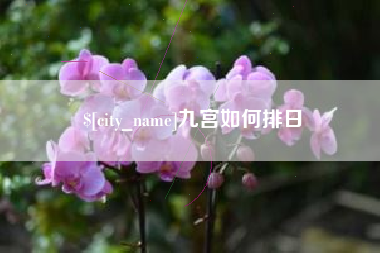 武穴九宫如何排日