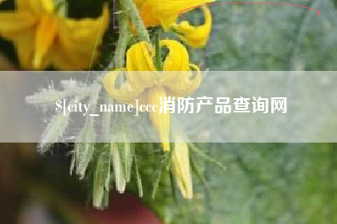 武穴ccc消防产品查询网