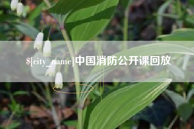 武穴中国消防公开课回放