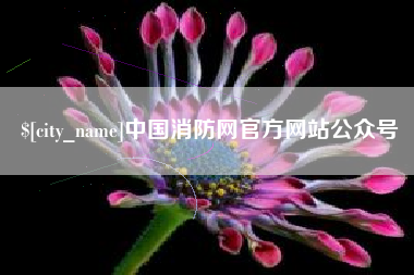 武穴中国消防网官方网站公众号