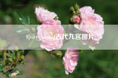武穴古代九宫图片
