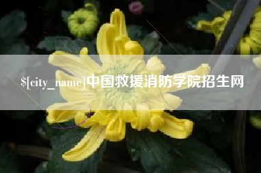 武穴中国救援消防学院招生网
