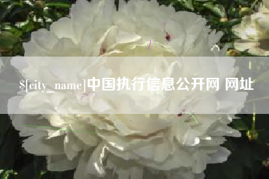 武穴中国执行信息公开网 网址