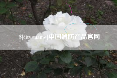 武穴中国消防产品官网