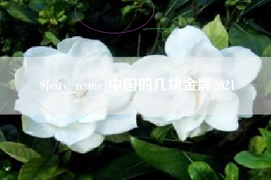 武穴中国的几块金牌2021