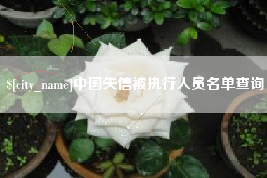 武穴中国失信被执行人员名单查询