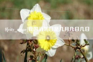 武穴我国消防日是几月几日几日