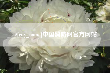 武穴中国消防网官方网站