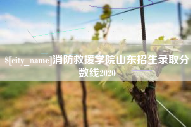 武穴消防救援学院山东招生录取分数线2020