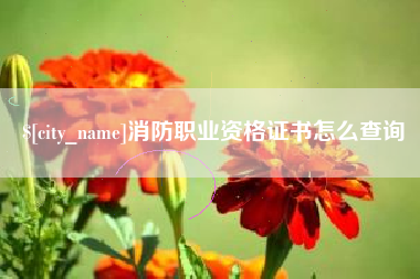武穴消防职业资格证书怎么查询