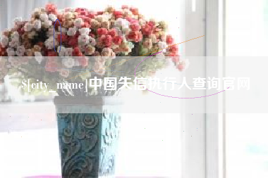 武穴中国失信执行人查询官网