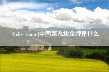 武穴中国第九块金牌是什么